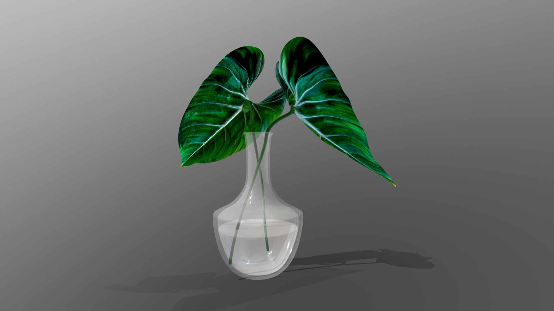 3D model Two Big Leaves in Vase - This is a 3D model of the Two Big Leaves in Vase. The 3D model is about a plant in a glass vase.