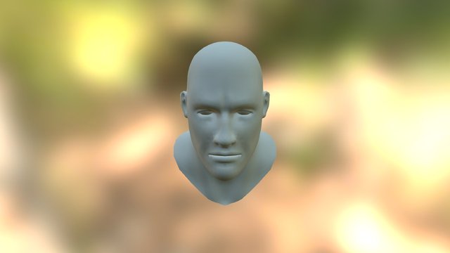 Human head 3D Model