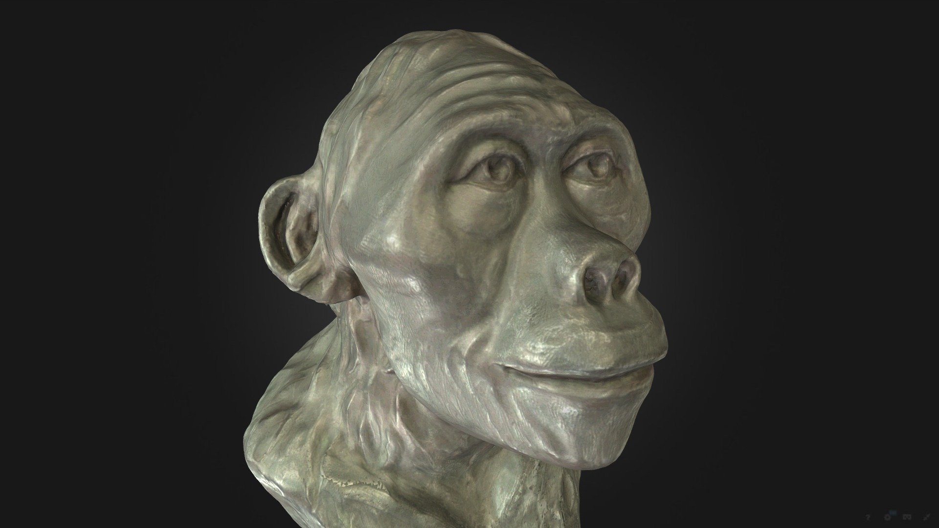 Австралопитек "Люси" | Australopithecus "Lucy" - 3D model by ...