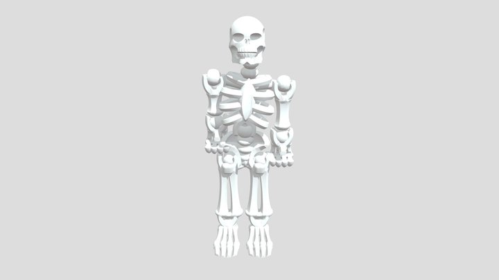 The human skeleton 3D Model