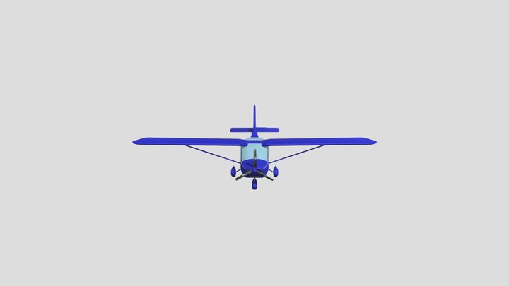 Light Sport Aircraft