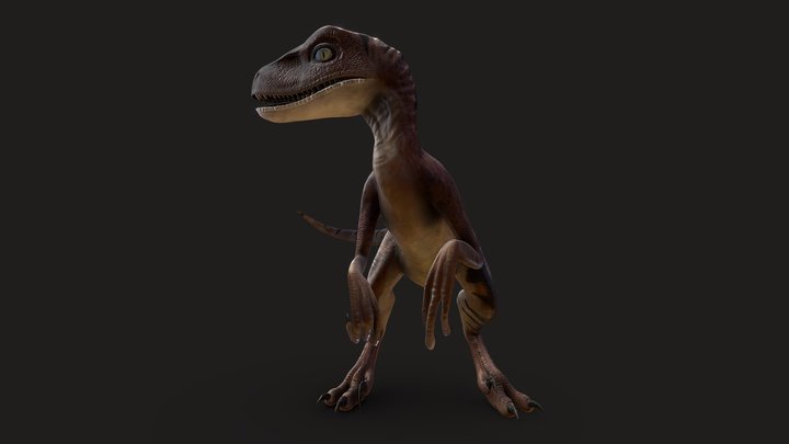 Velociraptor 3D Model