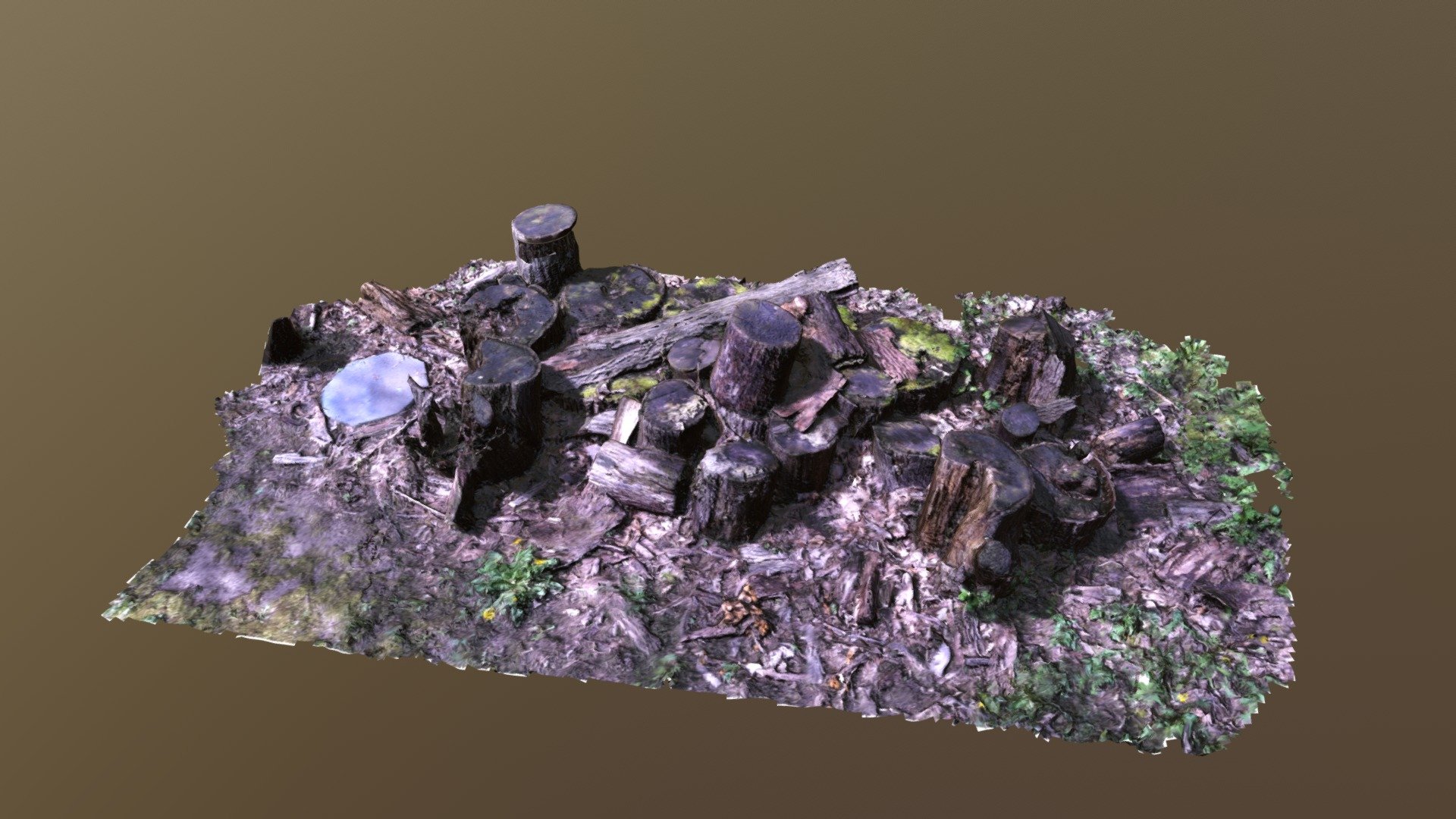 Pile of Wood Logs Scanned