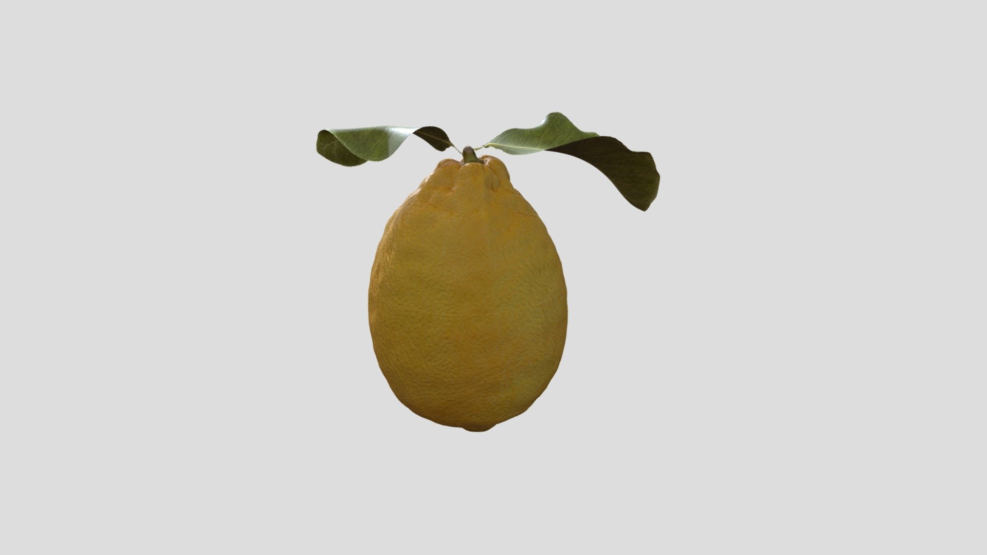 LEMON_005 - 3D model by monsieurstf [9685c2f] - Sketchfab