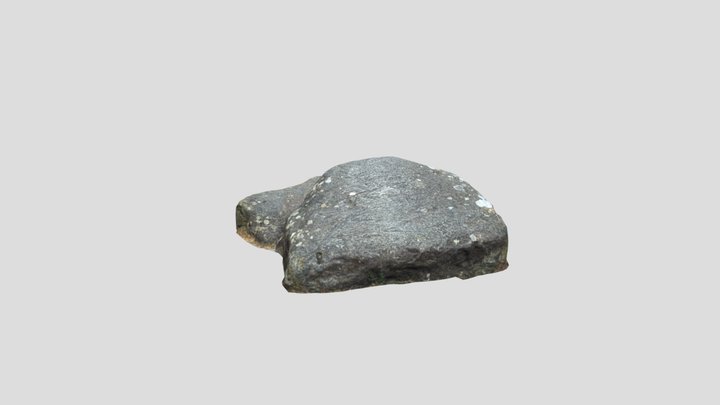 Forest Rock 03 3D Model