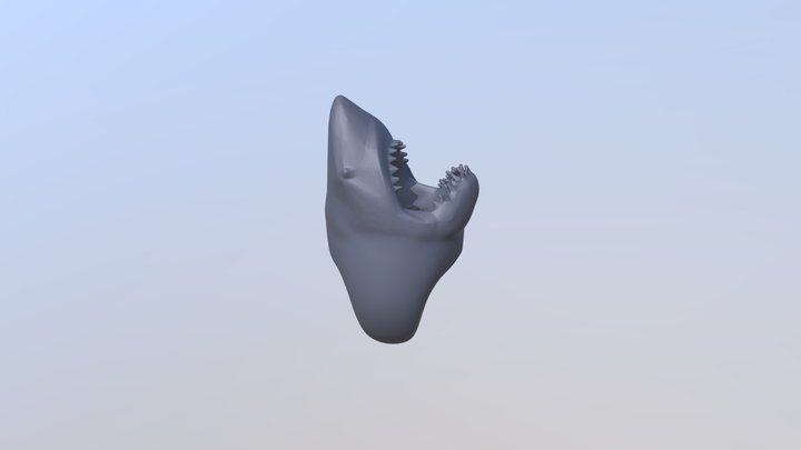 Sharkring- 3D Model