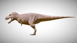 Mega- Rex - Download Free 3D model by Jayden Chen JayJayChe (@JayJayche ...