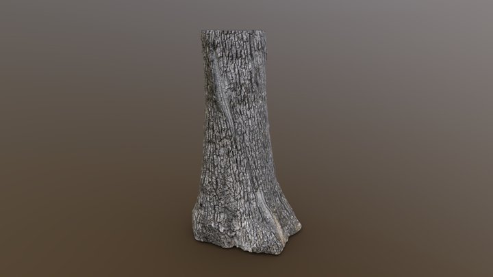 Southern Oak 7-30-25 Retopologized – Free 3D Model STL