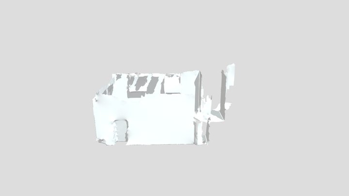 Reprocessed Mesh 3D Model