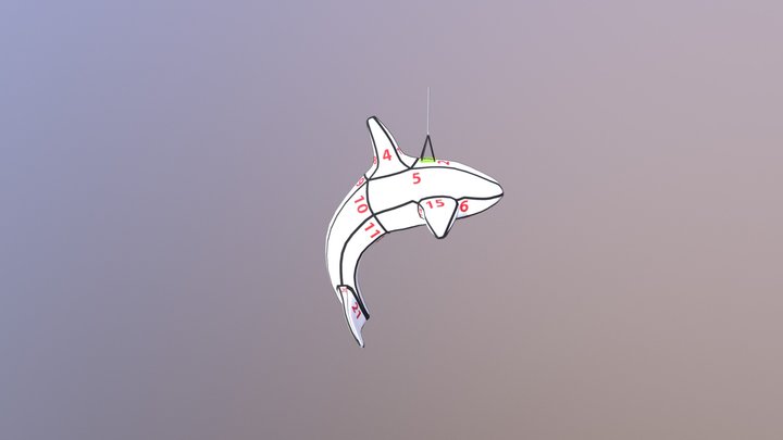Whale 3D Model