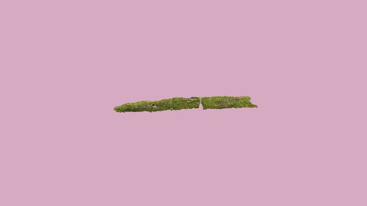 grass 3D Model