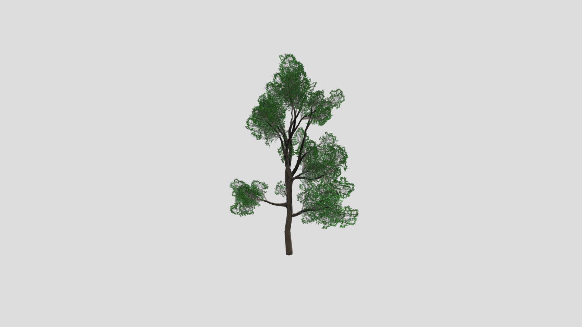 SM_Tree_0001 - 3D model by matsuo.takumia [9691ce3] - Sketchfab