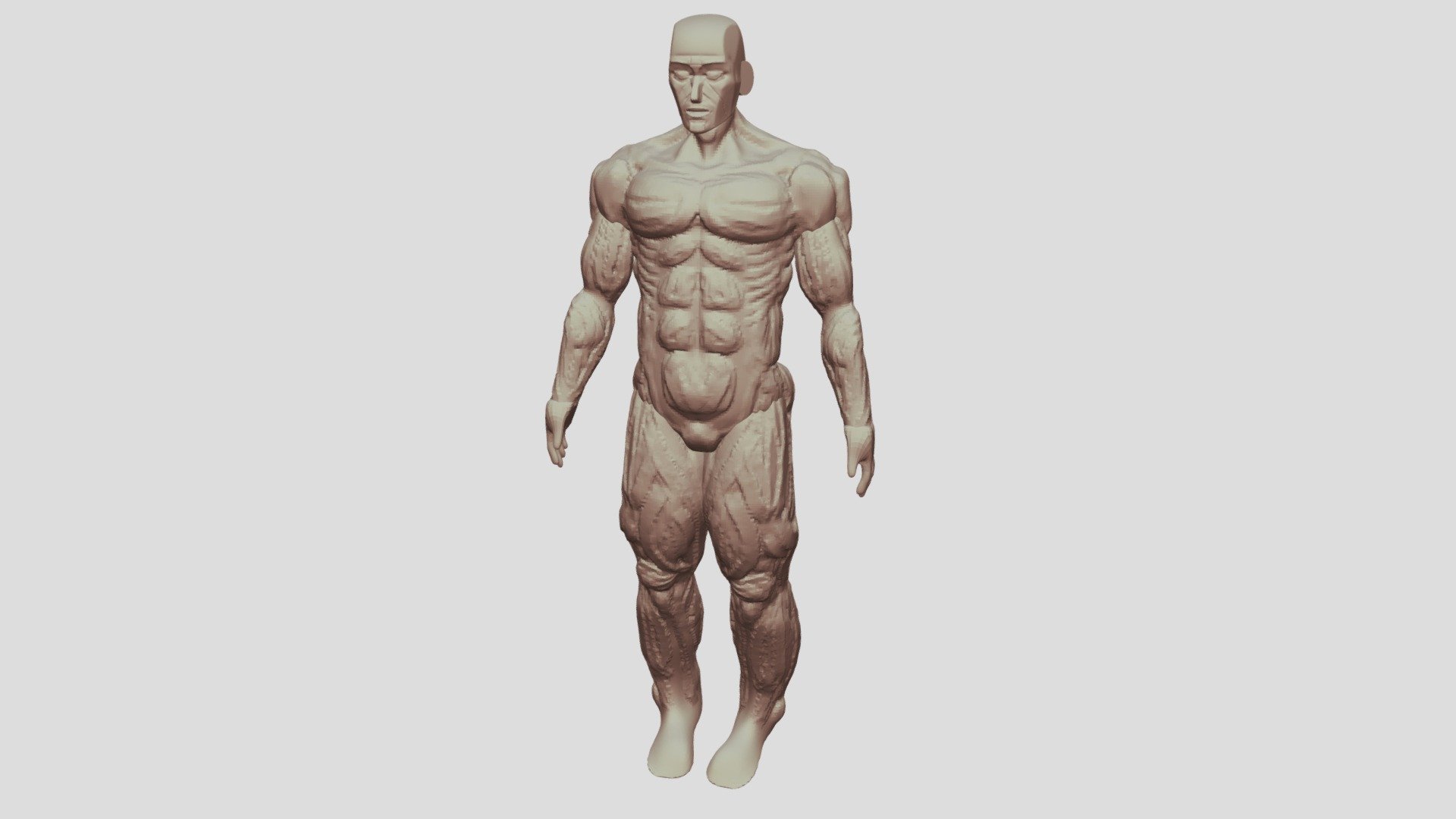 Muscular male base practice - 3D model by Mihnealihnea [96920bb ...