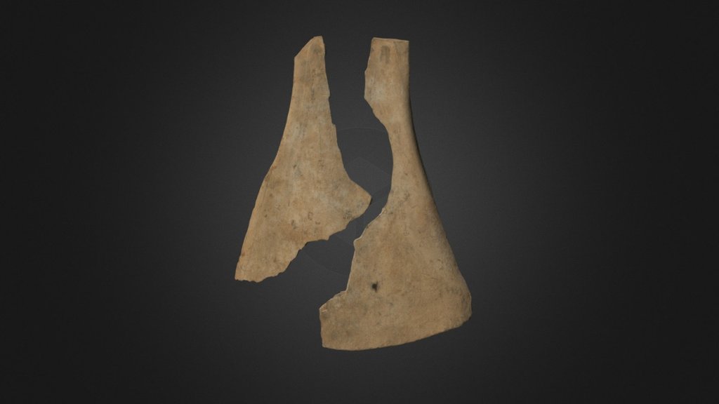Oracle Bone, Or 7694/1988 (two parts)