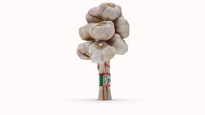 String of French Garlic Bulbs 3D Model