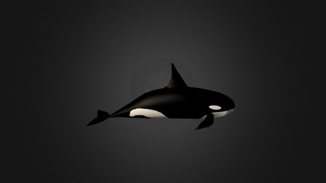 Killerwhale 3D Model
