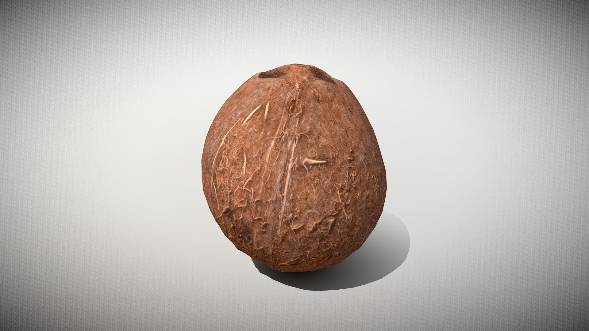 Exotic Fruit Coconut - Photoscanned PBR
