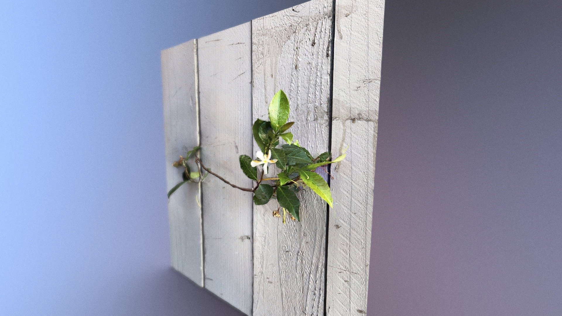 Nature finds a way