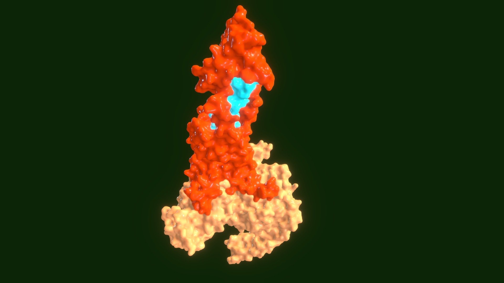 Glucagon receptor - Download Free 3D model by axonology [96a37ce ...