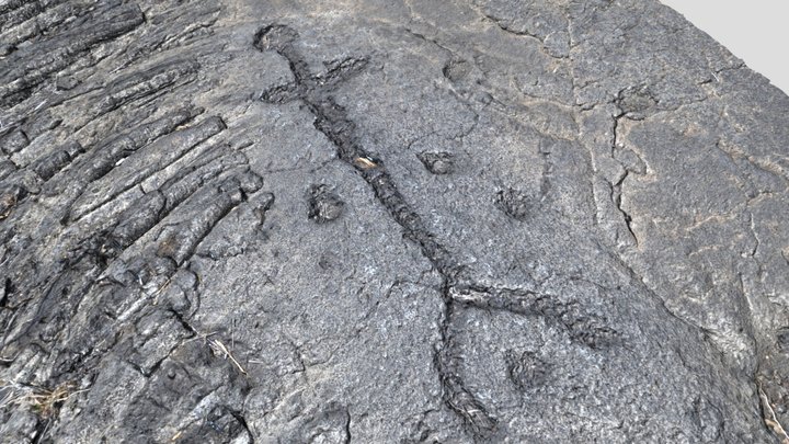 Petroglyph 3D Model