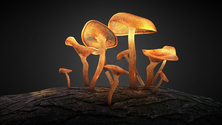 Mushroom on Tree_Baked Lighting Map 3D Model