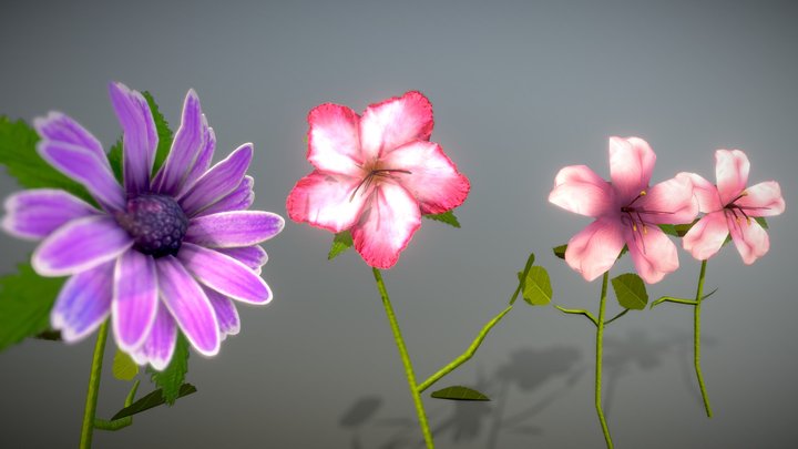 Low Poly Flowers 3D Model