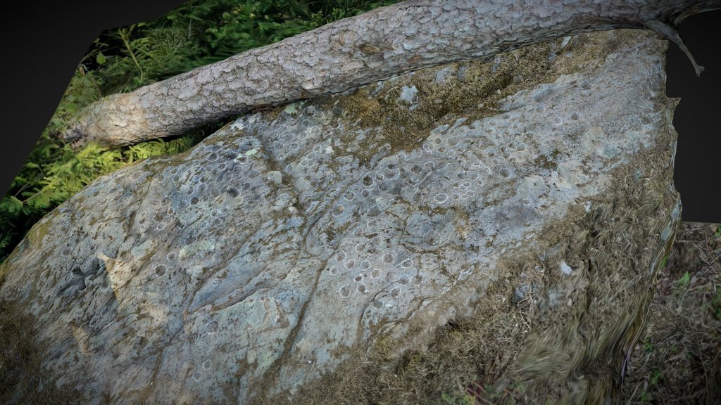 B220.19 - Cupmarked stone Dietenheim