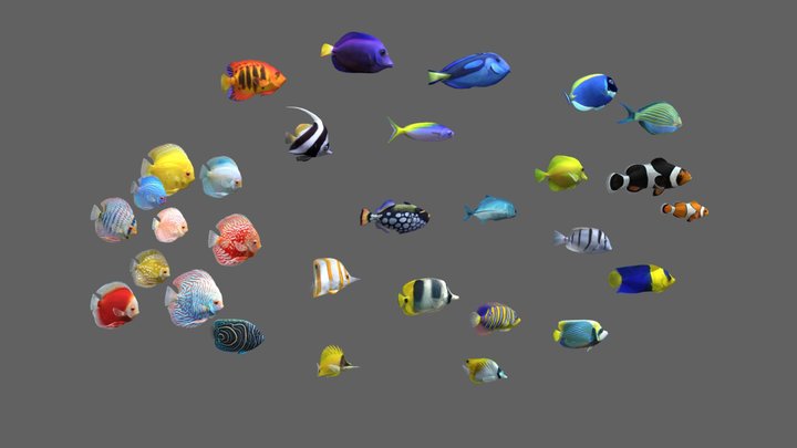 Fish Pack 30 - Coral Bay 3D Model