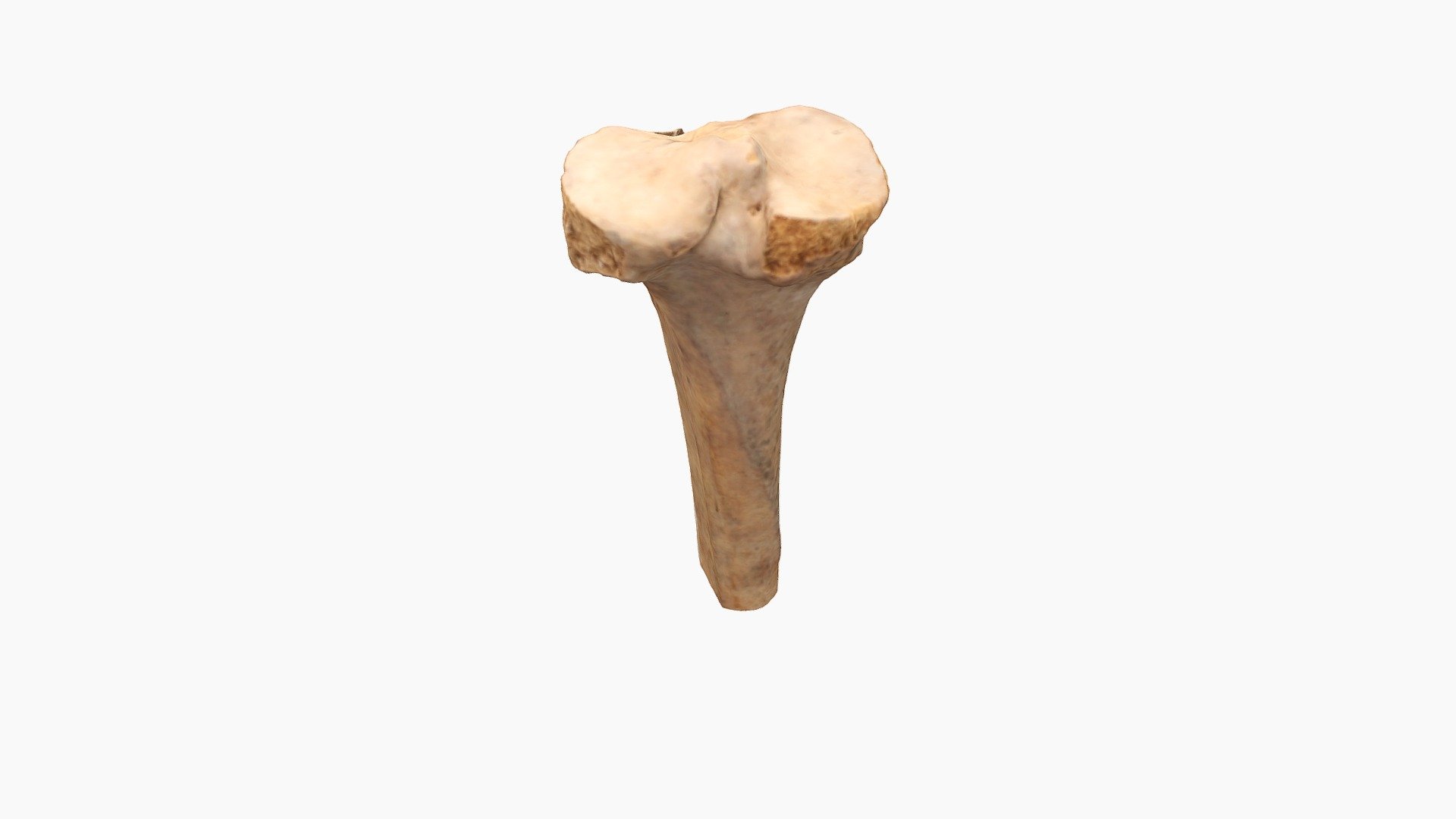 Qasr Hallabat Cistern Tibia 3