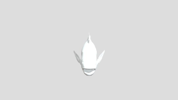 latimeria coelacanth 3D Model