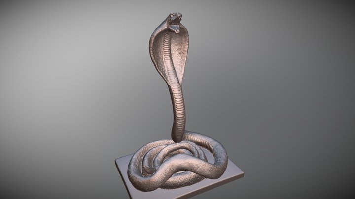 Cobra high res 3D Model
