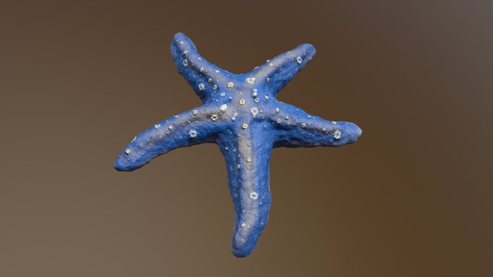 Starfish (Blue) 3D Model
