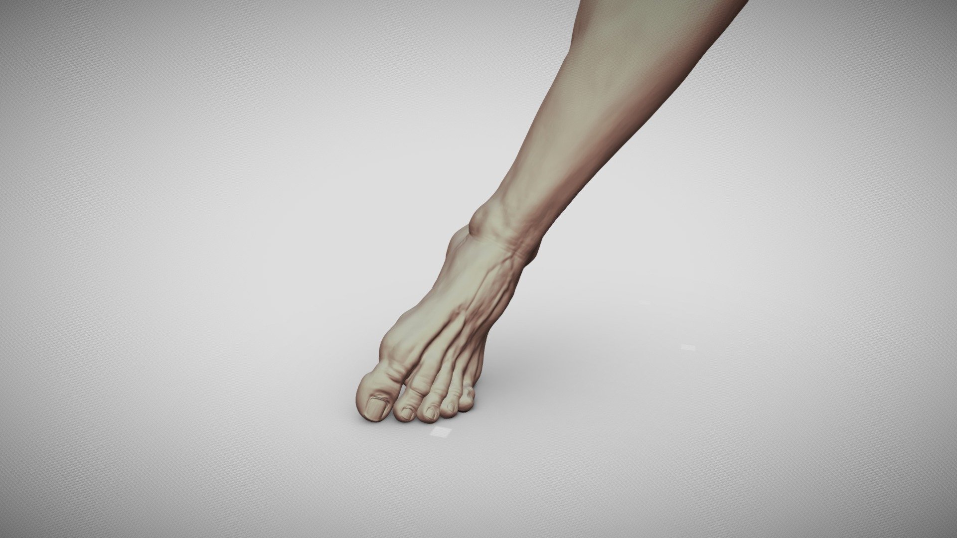 Male Foot 12 Buy Royalty Free 3D model by Rumpelstiltskin