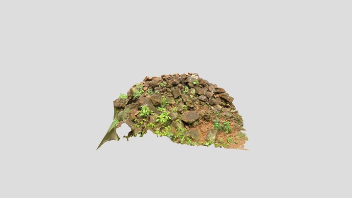Rocks