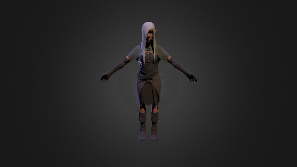 Elf Warrior