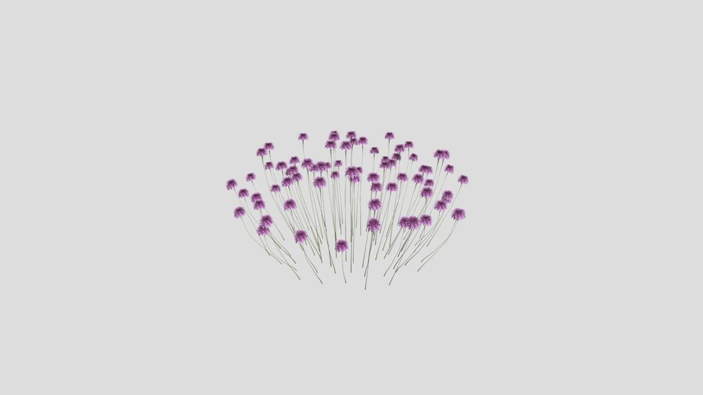 Sj Forest Whisper Blooms