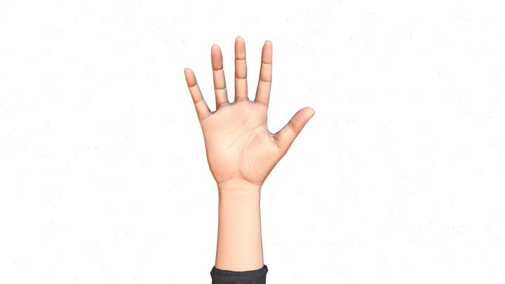 Hand reference [Animation ready topology] 3D Model