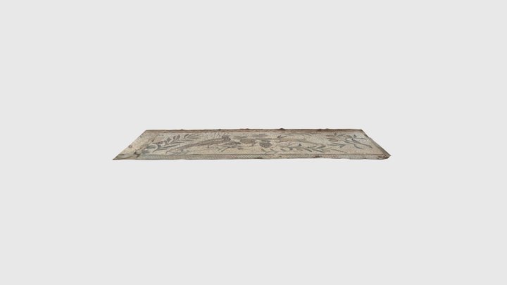 Roman Mosaic with Bird and Vine Motifs – Villas… 3D Model