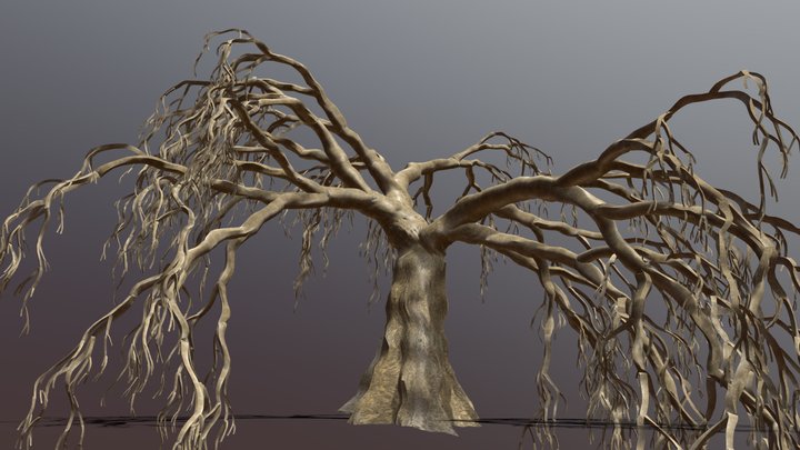 Old Willow (high-poly) – Modello 3D gratuito STL