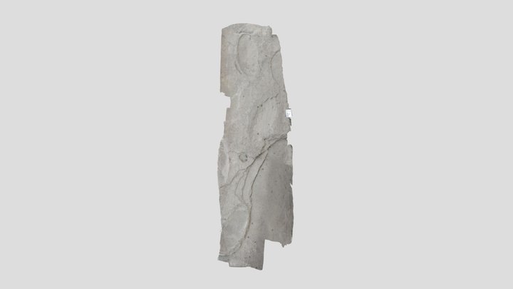 Muestra coleccion RICARDO – Modello 3D gratuito STL