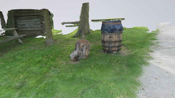 Tree Stump 3D Model