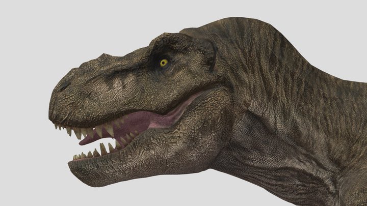Doe 1997 – Modèle 3D gratuit STL