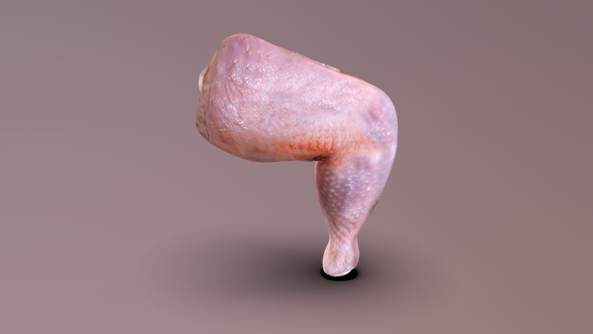 Chicken Leg - 3D model by GWPA (@GaryNgai) [96caa5d] - Sketchfab