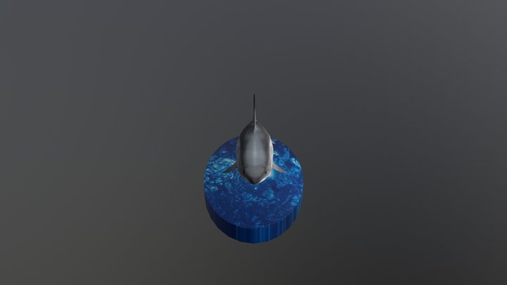 Tiburón | Shark 3D Model