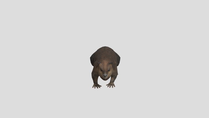 Castor 02 3D Model