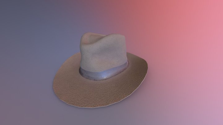 Indiana Jones Hat 3D Model