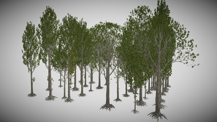 ALAMEDA 3D Model