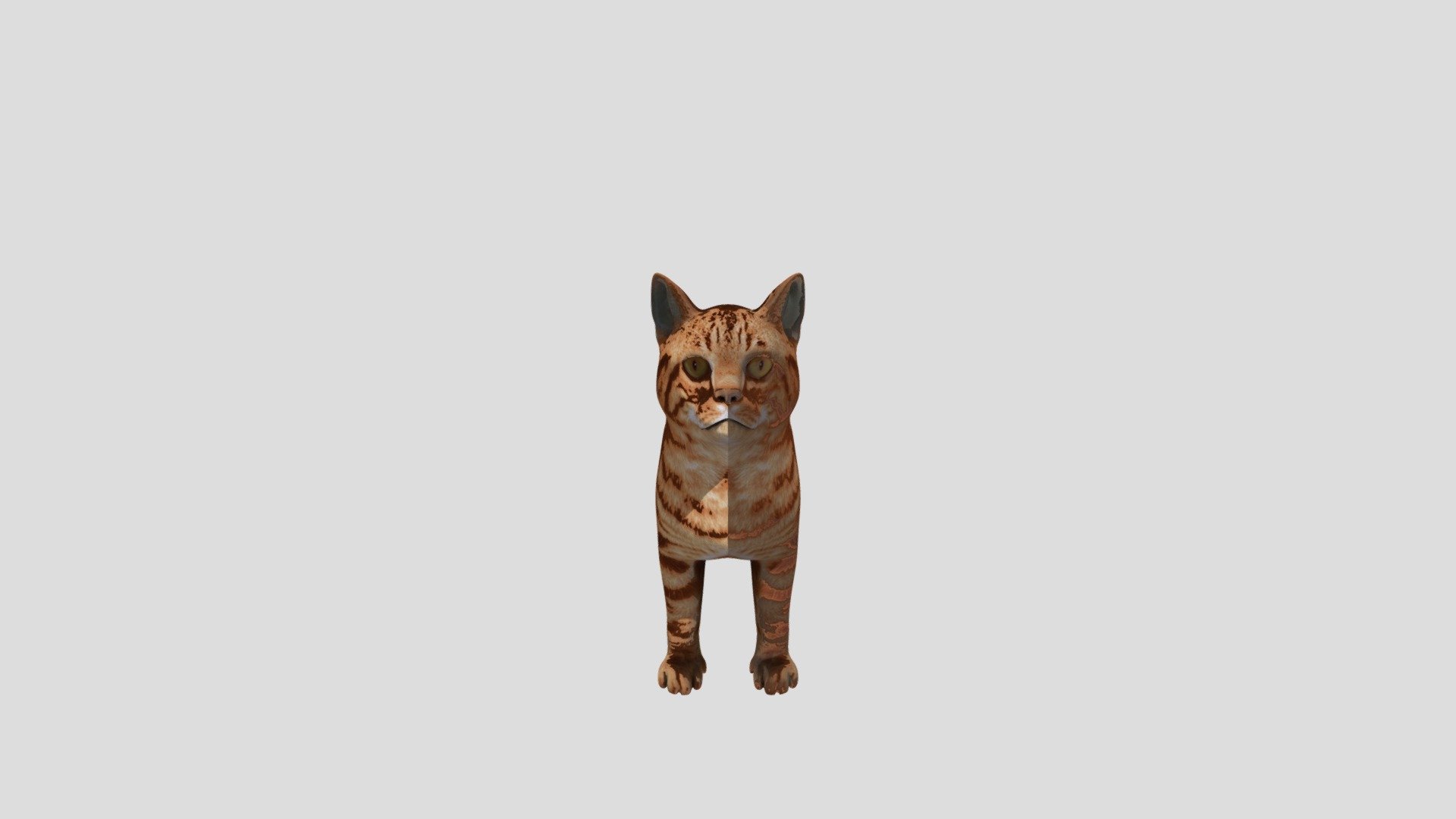Kucing Igapin
