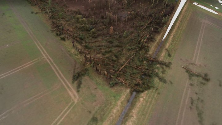 Tornadoschaden 01.02.2023 bei Getmold (NW) 3D Model