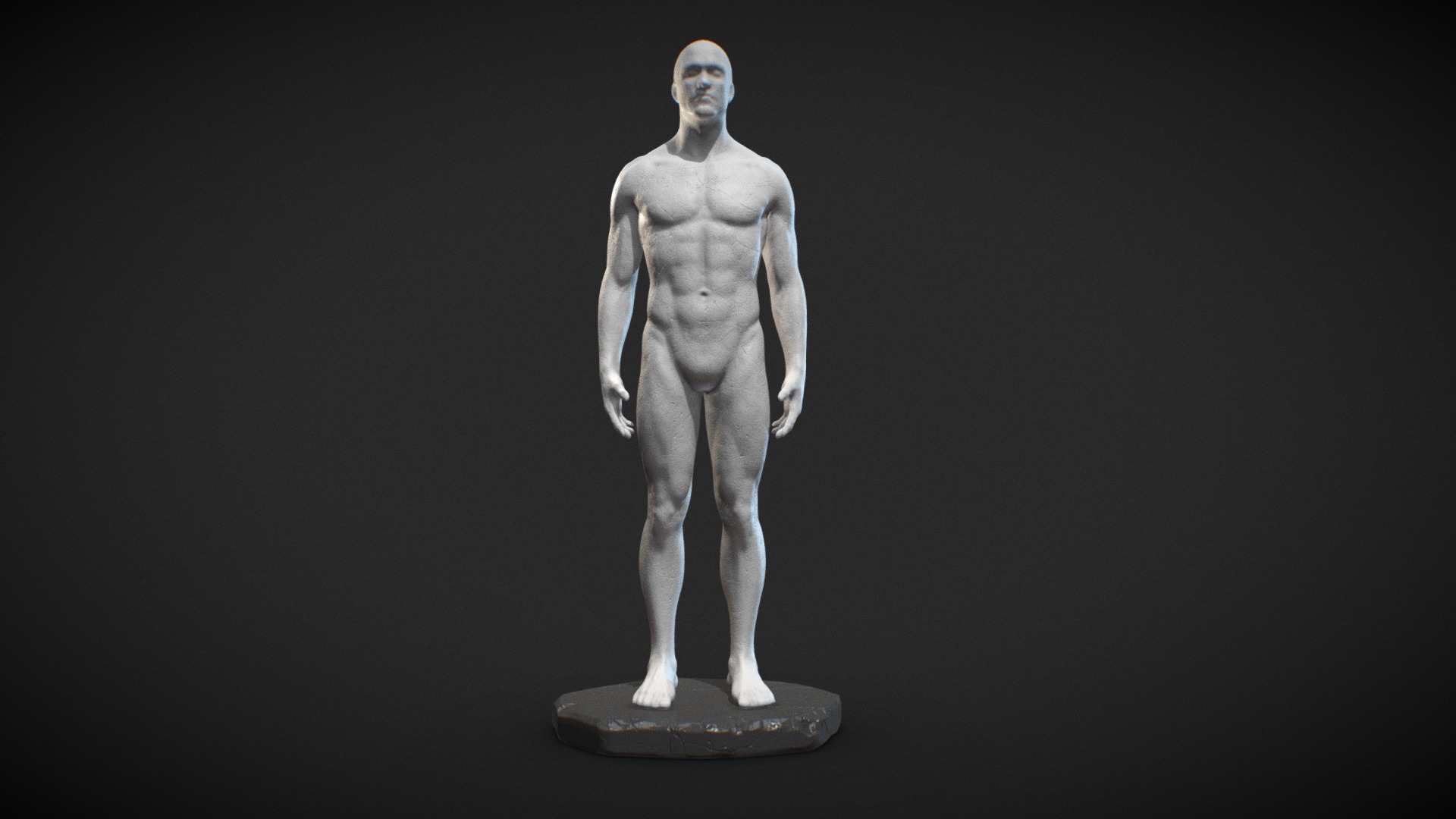 Male Anatomy Statue - 3D model by Poligone (@jinsk8r) [96d81ec] - Sketchfab